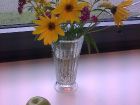 vieleblumen