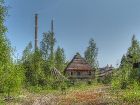 IMG_2310