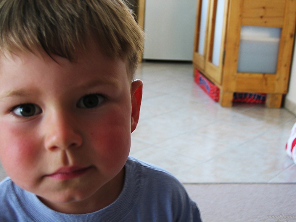 Luca01.jpg