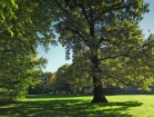 Grosser Garten in Dresden