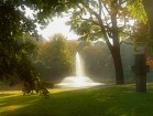 Der Zwingerteich in Dresden