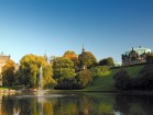 Der Zwingerteich in Dresden