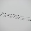 Vögel auf einer Freileitung
