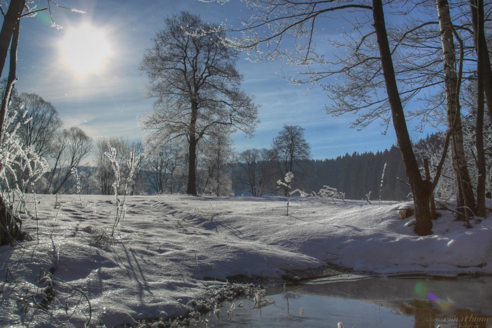 Winter_im_Muldental.jpg