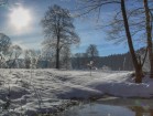 Winter im Muldental
