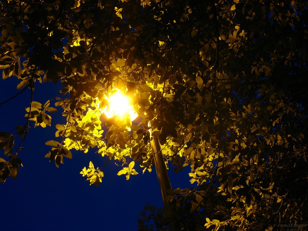 Mitternachtssommerlicht