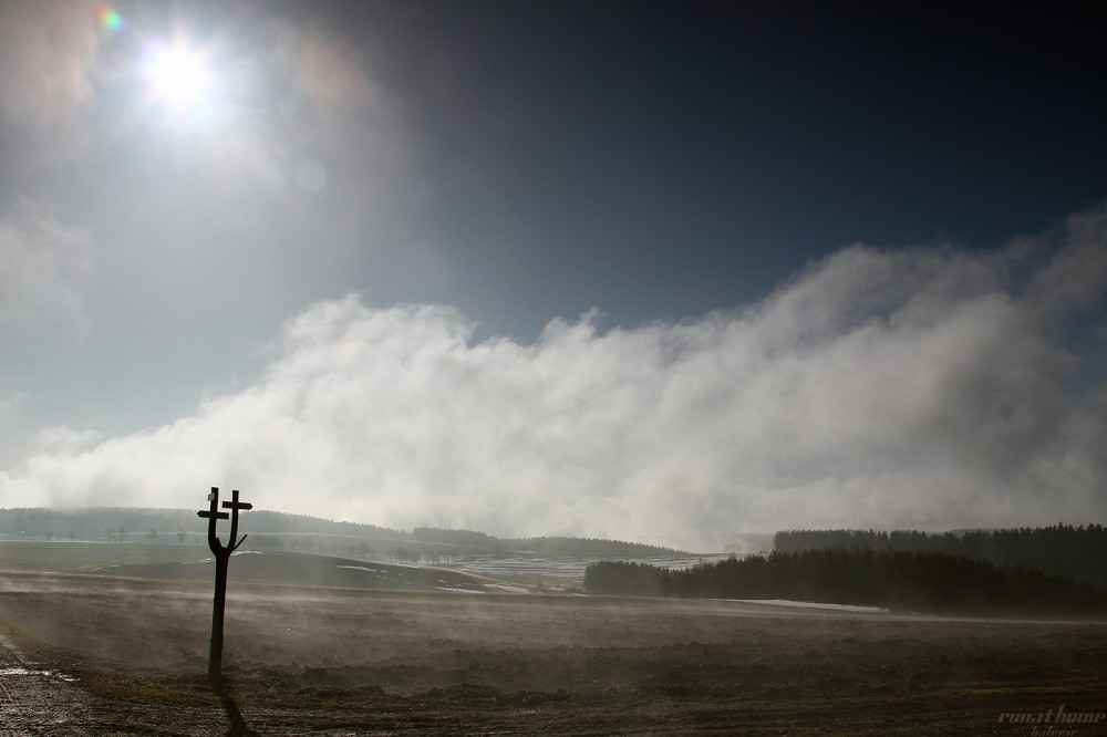 Feld im Winter