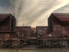 IMG 3755