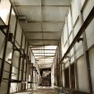 IMG 0017