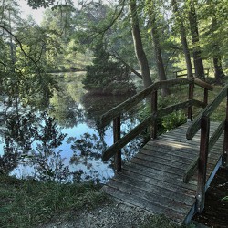 Landschaftspark Langenau