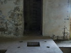 IMG 1640