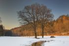 Im Tal der Wilden Weisseritz